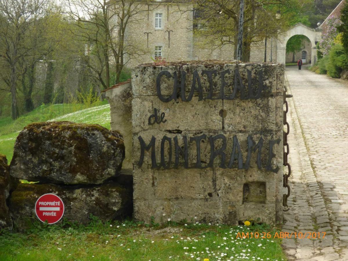 Chateau De Montrame Soisy-Bouy Exterior photo
